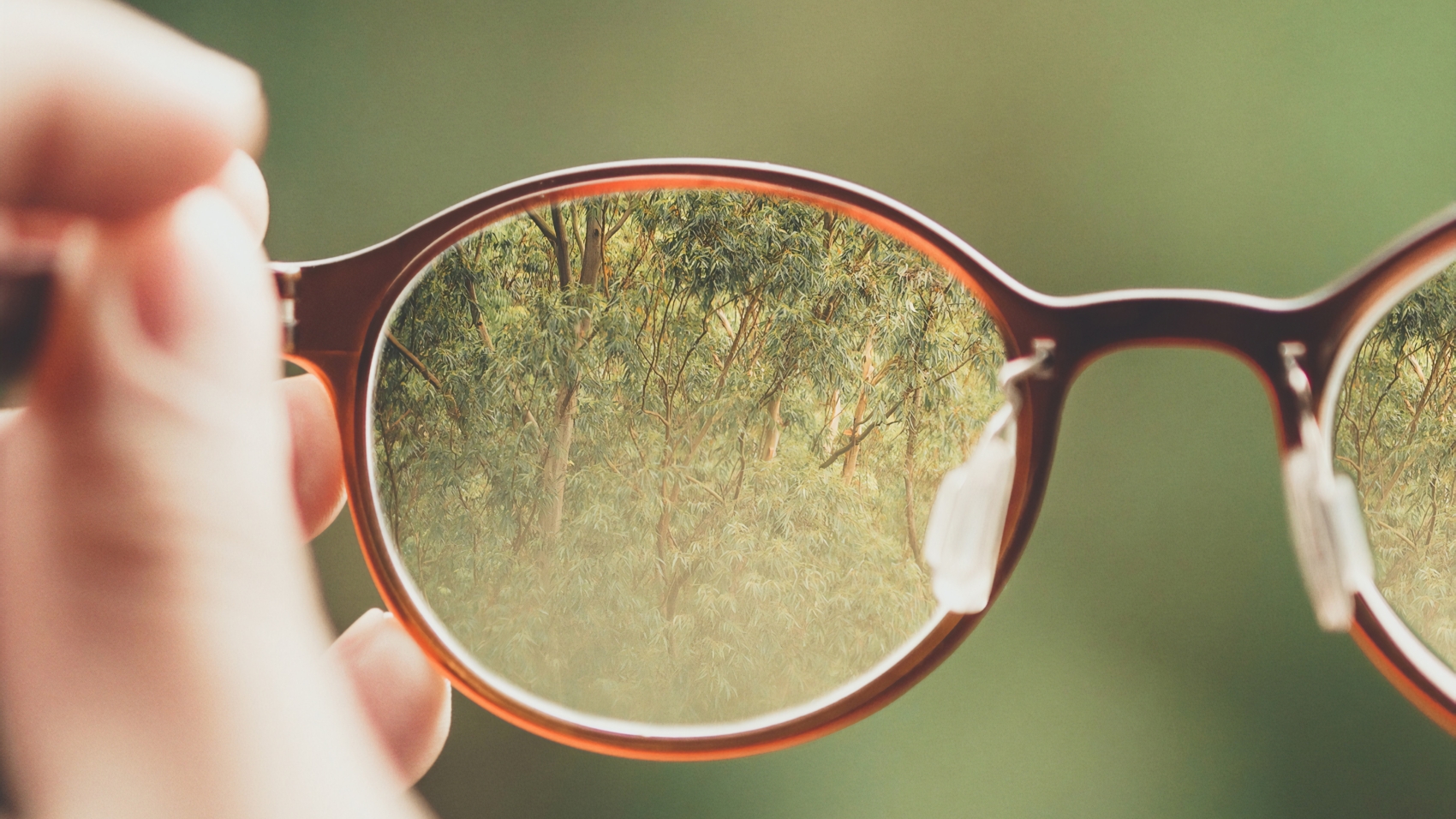 Clarity through spectacles. Photo by Bud Helisson on Unsplash